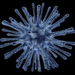 The Discovery Of Legionnaires Disease