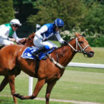 The Rise In Popularity Of The Kentucky Derby