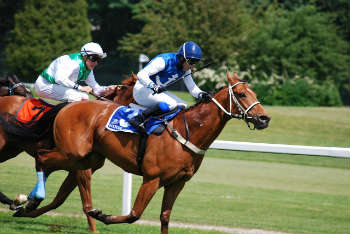 Horse racing