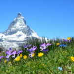 The True Story Of The Sound Of Music